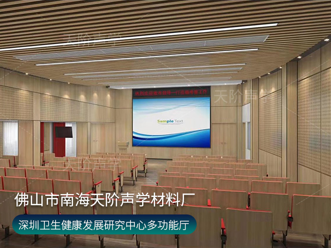 深圳衛生健康發展研究中心多功能廳